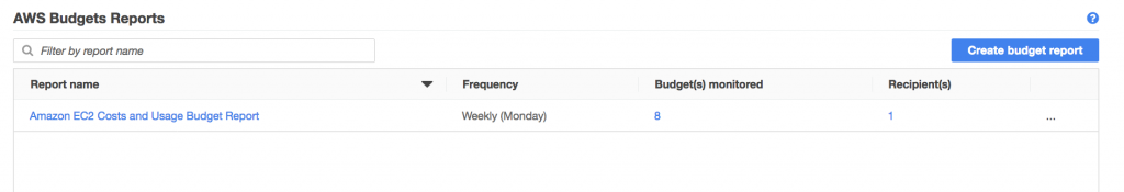 Review AWS Budgets Report