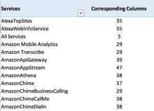 Cost & Usage Report Column Attribute Service