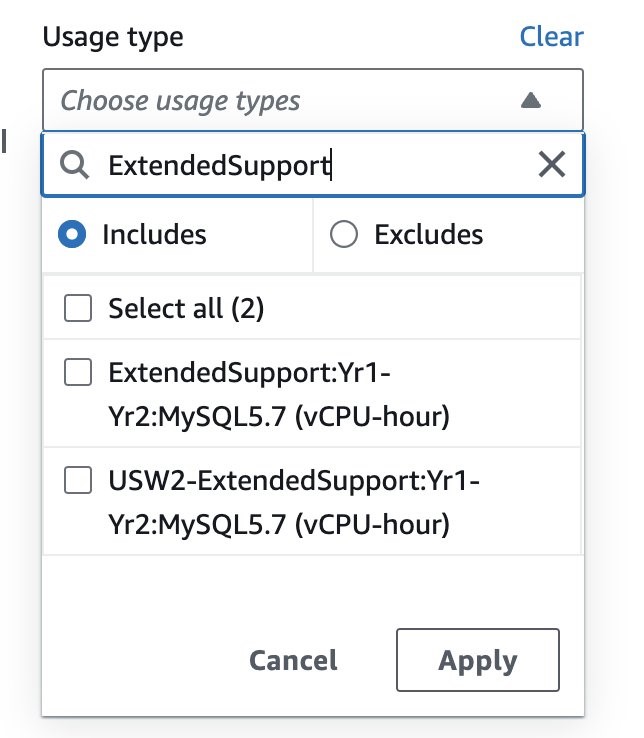 Figure 1. Screenshot of Usage Type filter "ExtendedSupport" in AWS Cost Explorer