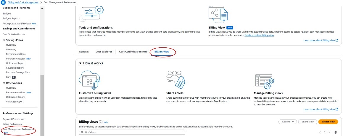 Figure 1. Sample screenshot shows billing view under cost management preference