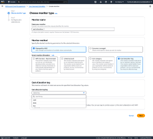 Figure 2: Configuring cost allocation tag monitoring with AWS managed monitors