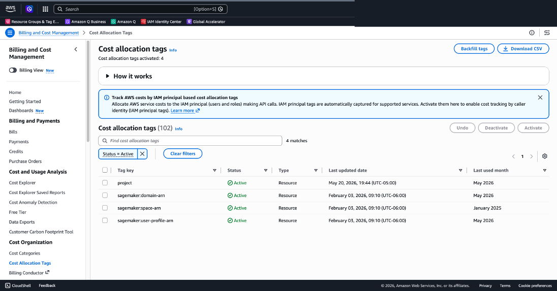 AWS Billing and Cost Management Console showing the "Cost allocation tags" page. A banner explains that AWS cost tags can be tracked by IAM principal-based cost allocation tags. Below it, a table lists cost allocation tags with columns for Tag key, Status, Type, Last updated date, and Last used month. Three tags are shown — "aws:bedrock:usage," "sagemaker-space-arn," and "sagemaker-user-profile-arn" — all with Active status and Resource type. The left navigation includes Billing, Cost and Usage Analysis, and Cost Organization sections.