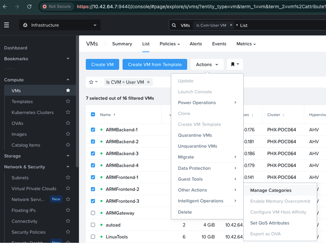 Fig. 10 Asignación de la categoría Environment:App a las VMs del servicio