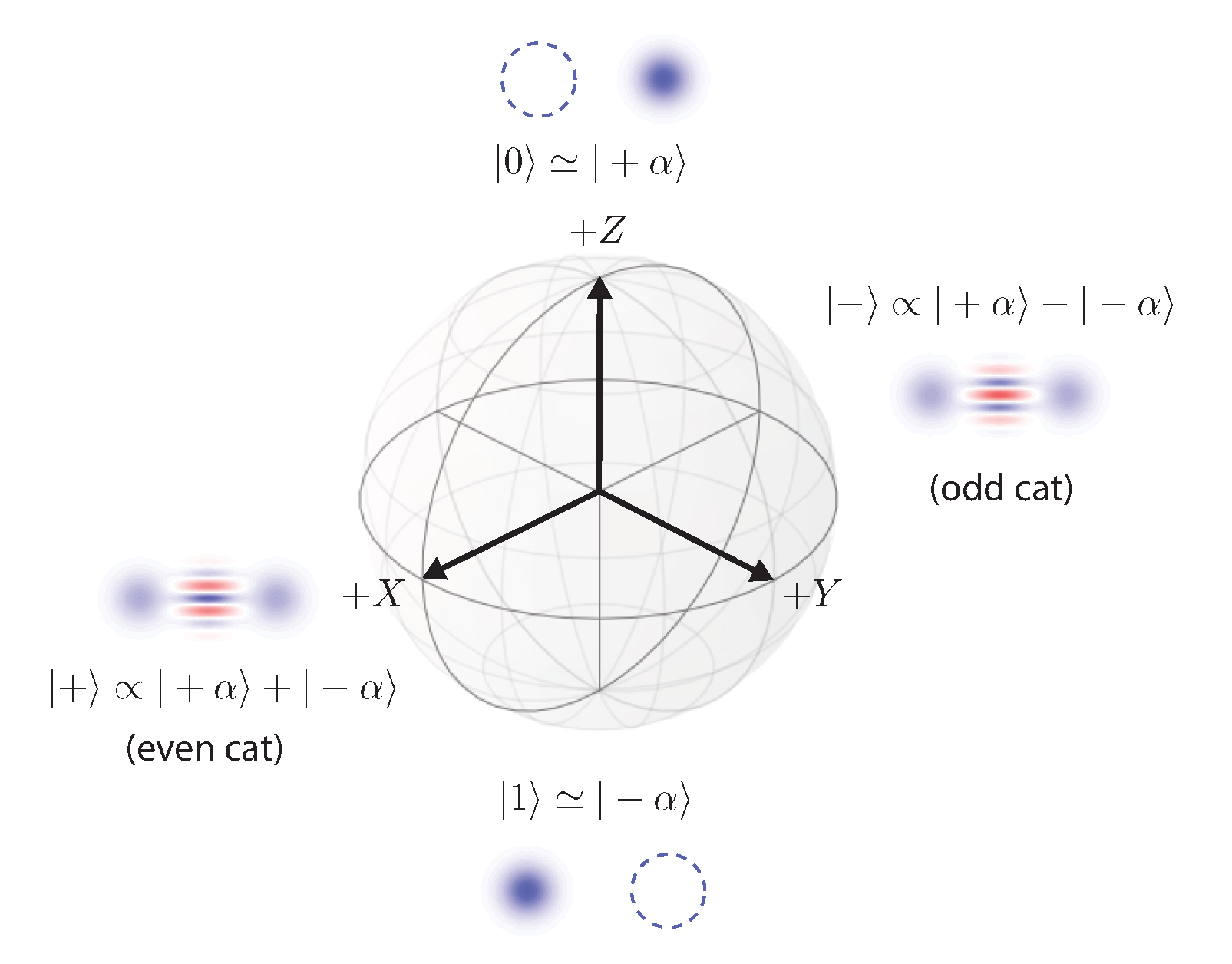 Drawing of a Bloch sphere of the cat qubit