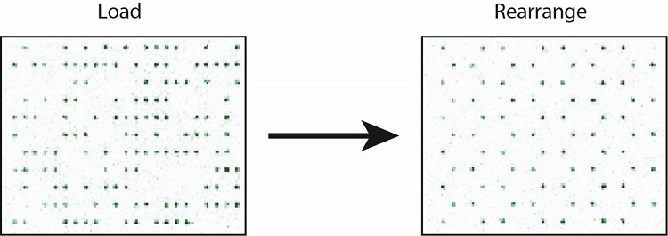 Realizing quantum spin liquid phase on an analog Hamiltonian Rydberg simulator