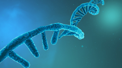 RNA strand rendering