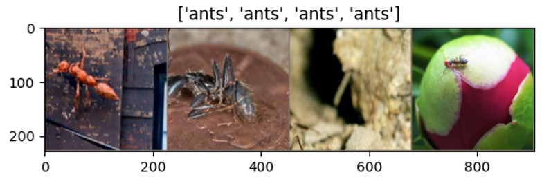 Figure 1: Example images used to train the QML algorithm [Transfer Learning for Computer Vision Tutorial].