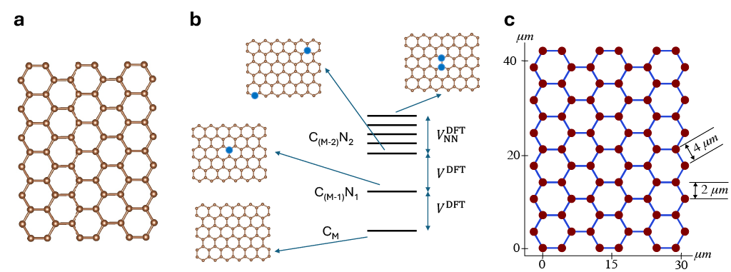 Figure 1 – Illustration of mapping a doped graphene to Rydberg atoms. (a) A pristine graphene with 78 sites, each site can be occupied by either a carbon (gold) or a nitrogen atom (blue). (b) The energy levels of the doped graphene systems measured with respect to the pristine graphene (CM). Doping the graphene with a nitrogen atom (C(M-1)N1) increases the energy of the system by VDFT, the on-site energy of the dopant, whereas the energy of systems with two dopants (C(M-2)N2) depend also on the distance of the dopants. When the two dopants are next to each other, its energy relative to the pristine graphene is 2VDFT+VNNDFT where VNNDFT is the nearest neighbor interaction energy of the dopants. (c) The largest layout for the Rydberg atom simulator used this work which contains 78 sites. A valid layout must comply with the constraints that the nearest neighbor spacing is not less than RNNmin=4 μm and the y-coordinate difference between any two sites is not less than 2 μm.