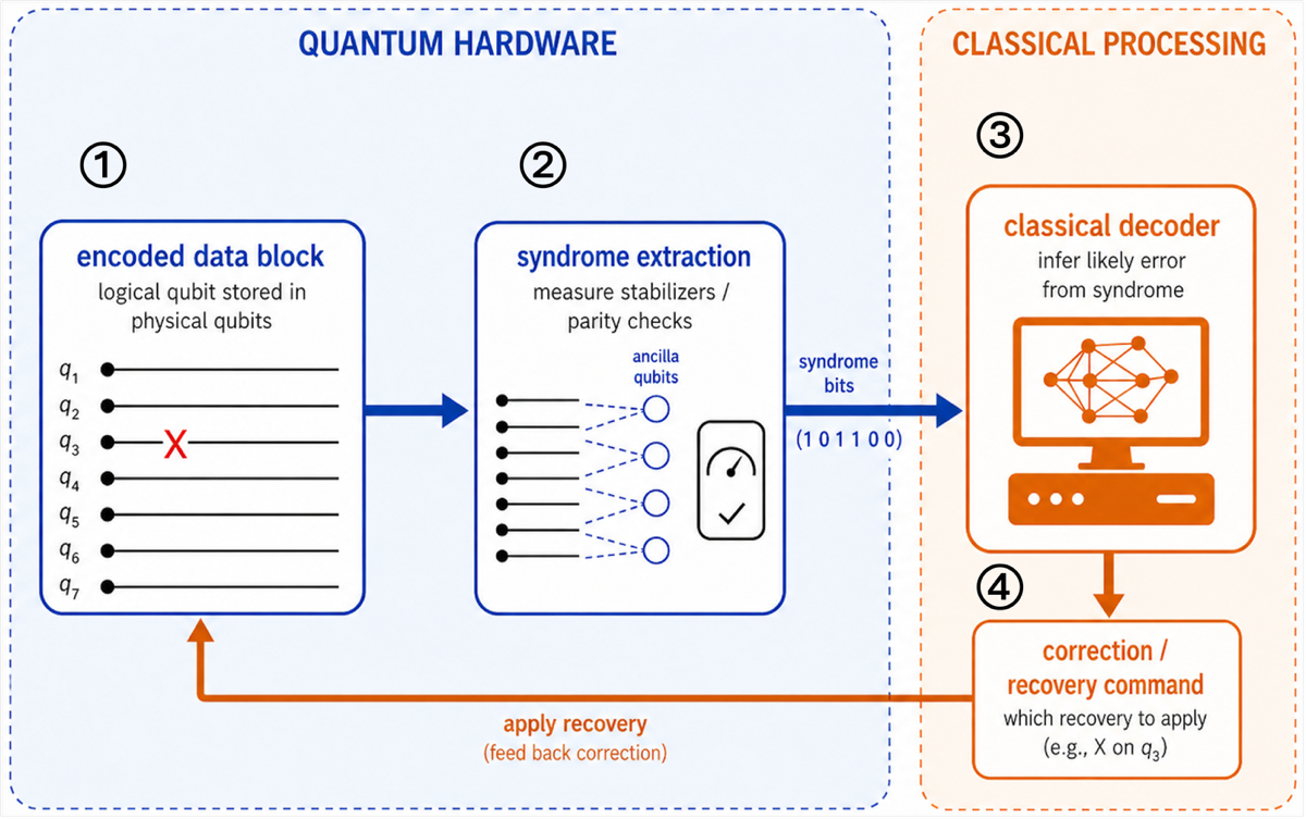 Figure 1 - The quantum error correction cycle. On the quantum hardware, (1) a logical qubit is stored across many physical qubits, and (2) each round of stabilizer (parity-check) measurements produces a syndrome. The syndrome passes to classical processing, where (3) a decoder infers the likely error and (4) issues a recovery command that is fed back to the hardware. The cycle repeats every round.