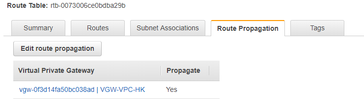 Turn on Route Propagation under VPC Route Table