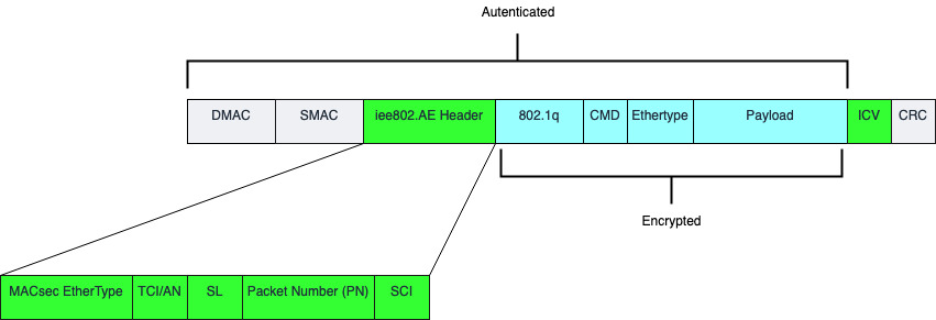 MACsec Encapsulation details