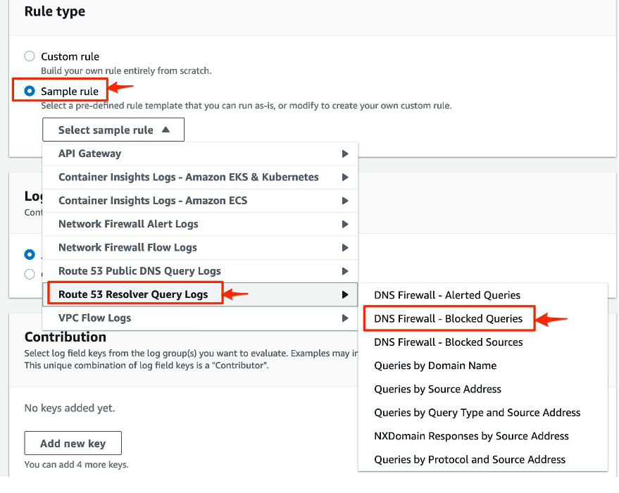 Image showing CloudWatch Contributor DNS Firewall Sample Rule options