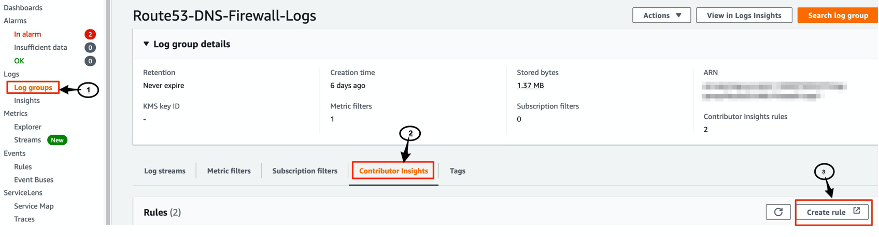 Image showing CloudWatch Contributor 53 DNS Firewall query logging details