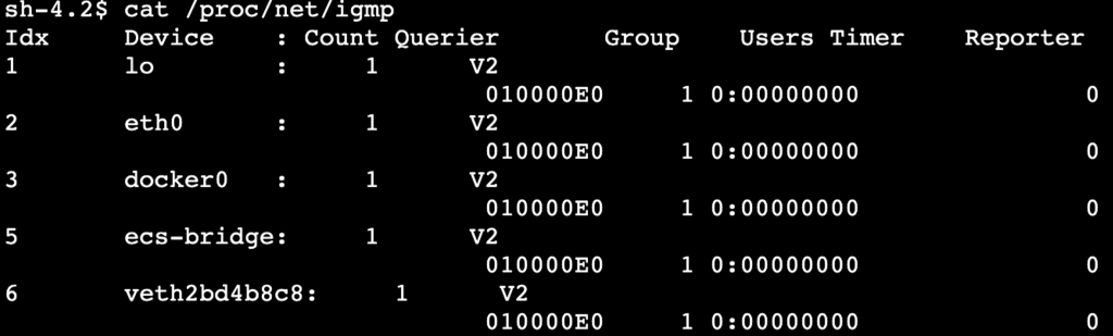 IGMPv2 configuration on a worker node