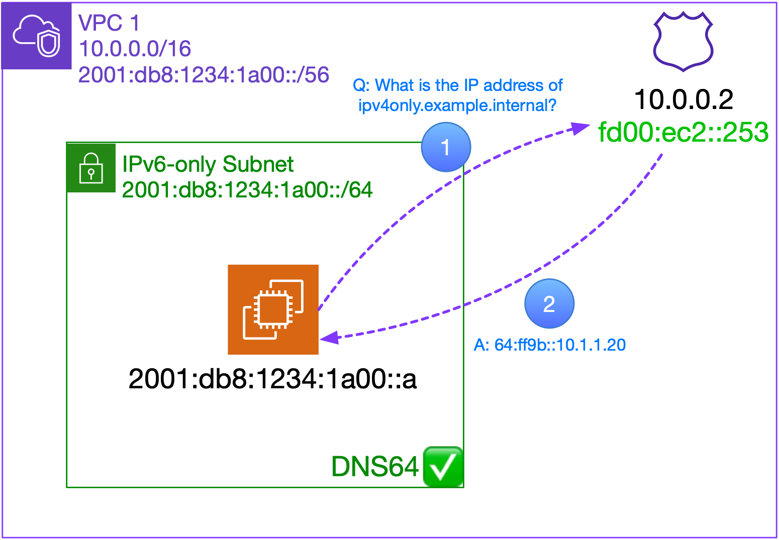 DNS64 resolution from IPv6-only subnet