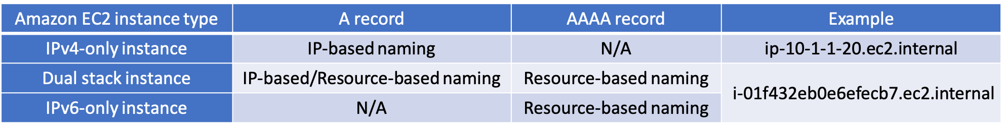 Amazon VPC DNS naming