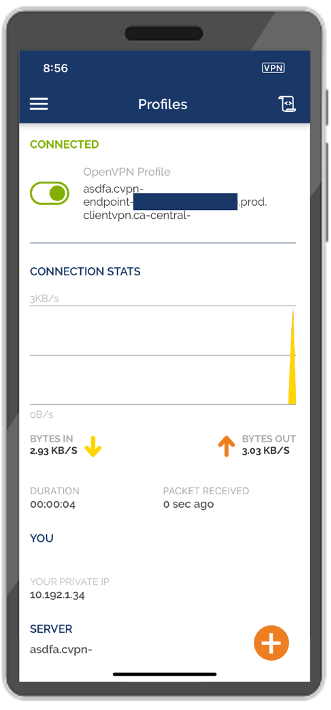 Figure 7: Successful Client VPN connection