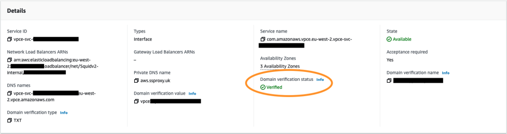 Figure 6: VPC endpoint details – verified domain