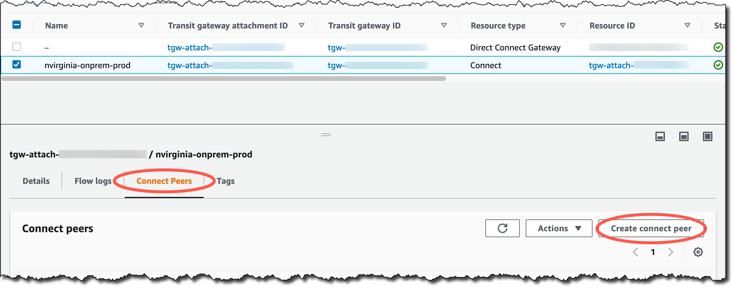 Screenshot showing location of create connect peer button