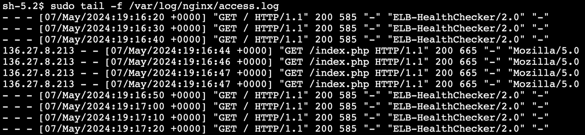 Figure 9: Screenshot of NGINX access log