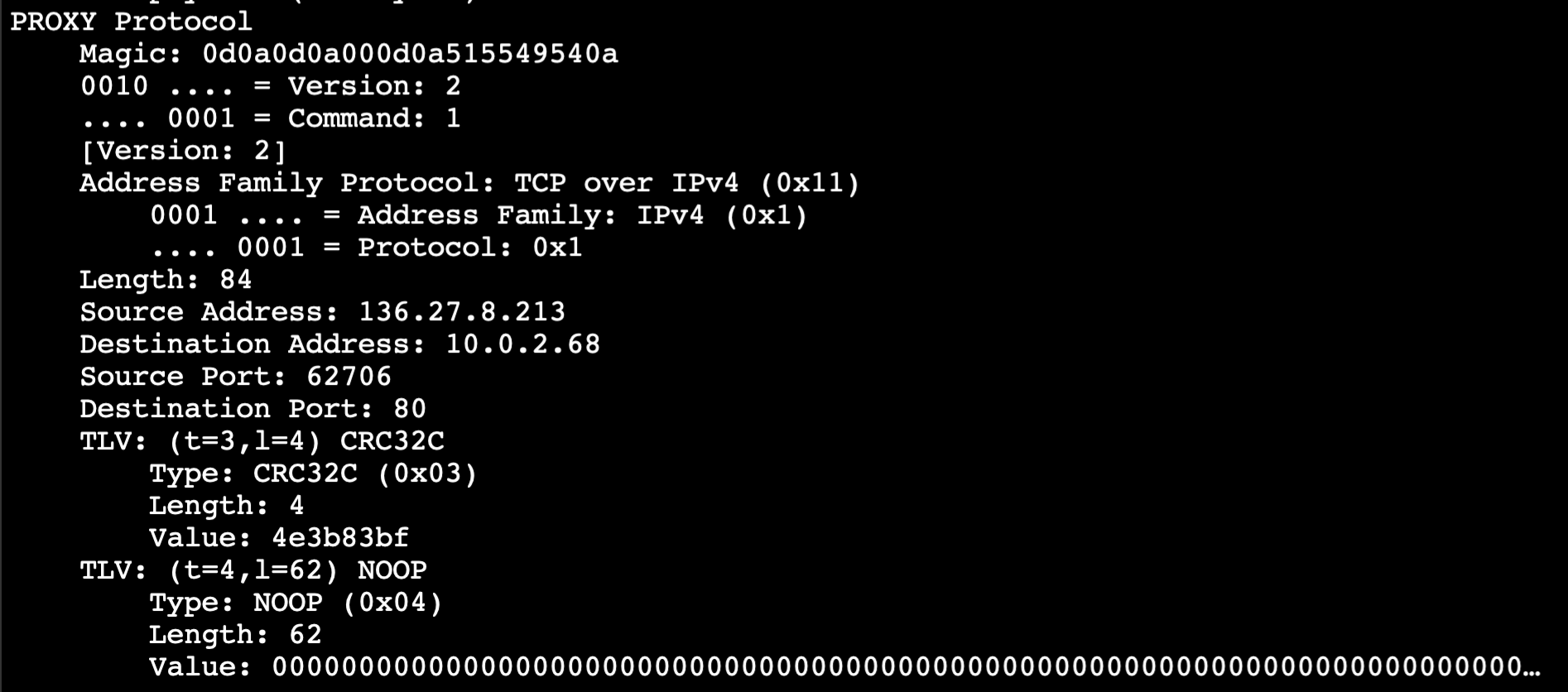 Figure 8: Screenshot of decoded Proxy protocol v2 header