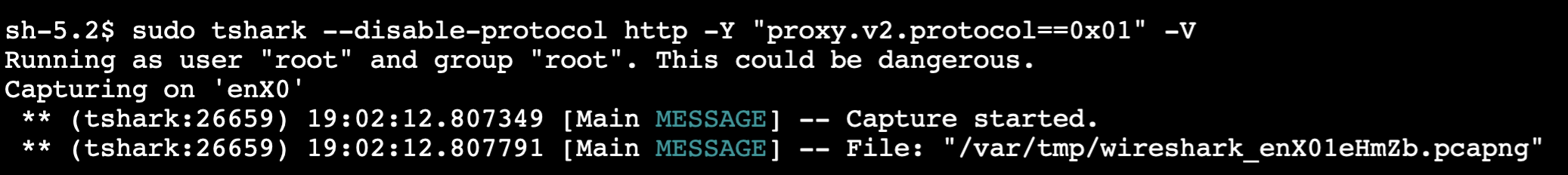 Figure 7: Using tshark to capture and display network packets containing Proxy protocol v2 headers