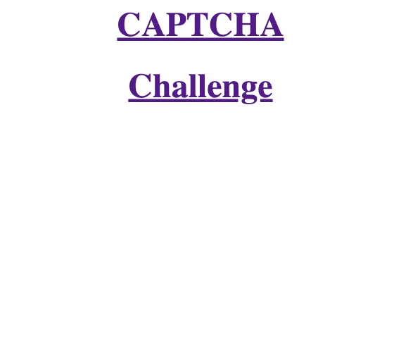 Interstitial CAPTCHA user experience