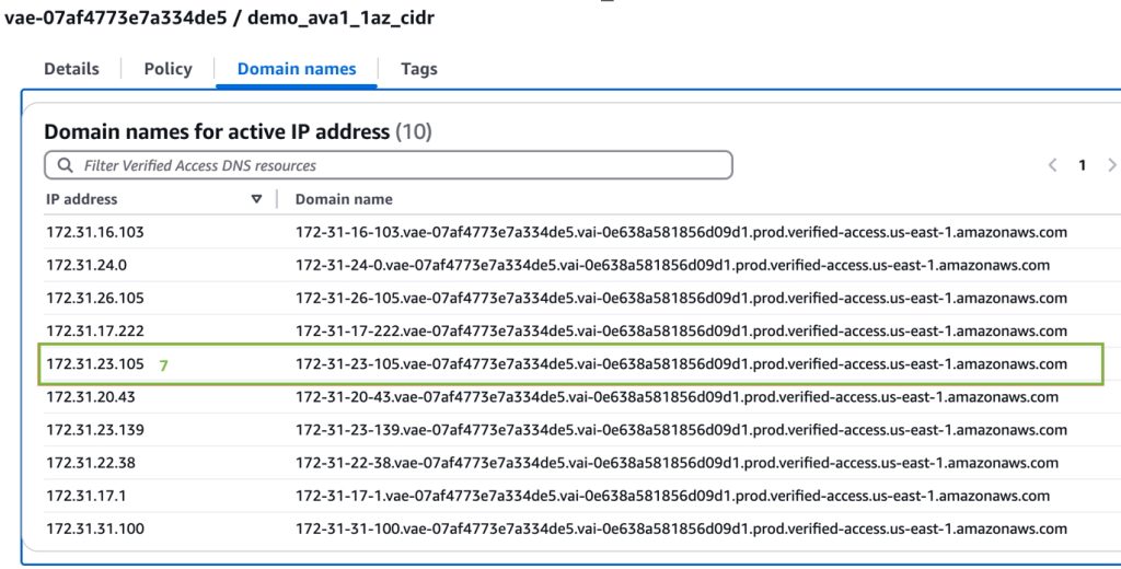 Figure 5: AVA Network CIDR endpoint domain names