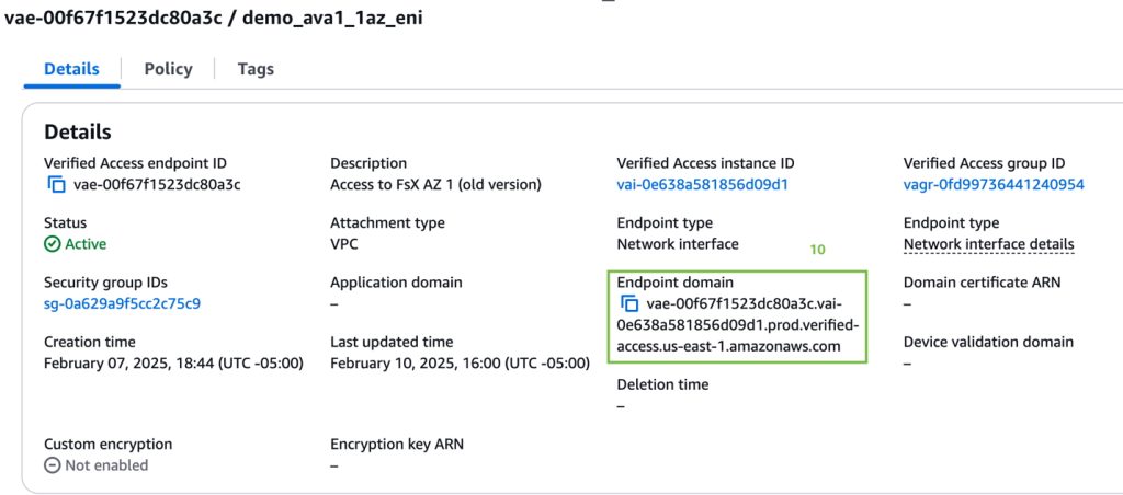 Figure 7: AVA Network Interface endpoint domain name