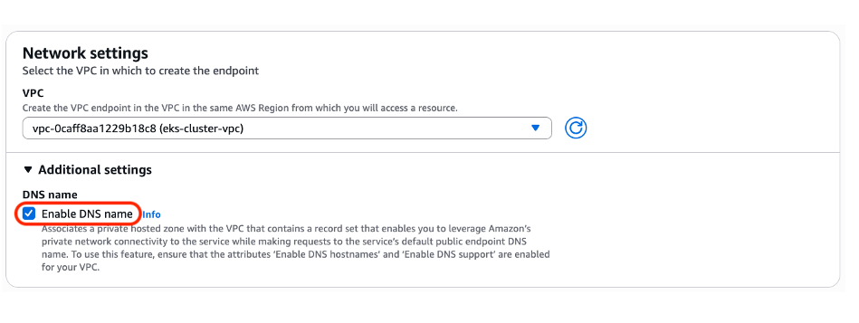 图 12: **重要**:选中 Enable DNS name 框