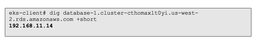 图 16: 从 “eks-cluster-vpc” VPC 中的客户端进行 DNS 解析,解析到 SN-E 地址