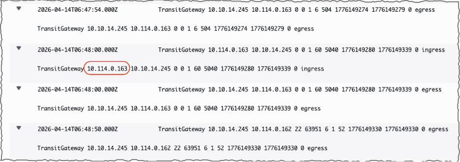 AWS Transit Gateway flow logs displaying preserved client source IP addresses from AWS Client VPN connection