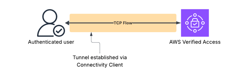 Standard traffic flow for TCP endpoints to AVA