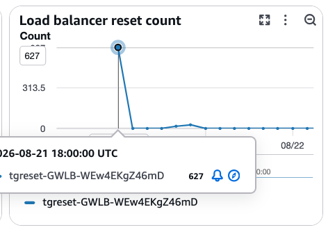 The “TCP_ELB_Reset_Count” CloudWatch metric displayed on the Monitoring tab.