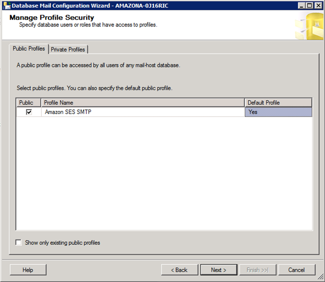 Microsoft SQL Server Profile Security