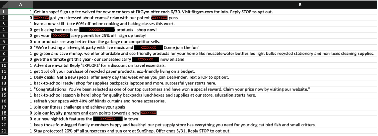 Figure 2: Screenshot of dataset – 20 entries of censored marketing messages 