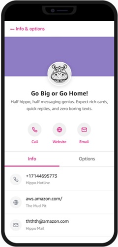 Verified RCS business profile for "Go Big or Go Home!" showing a branded hippo logo, purple banner, company tagline, and contact options for call, website, and email in a mobile messaging app.