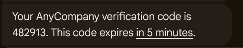 RCS verification code message delivered within its five-minute expiration window