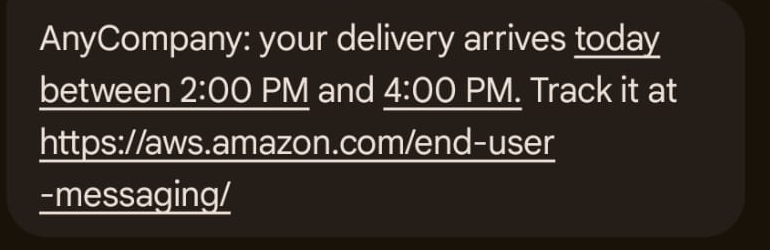 AnyCompany delivery notification delivered over RCS