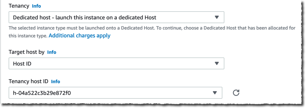 EC2 dedicated host selection