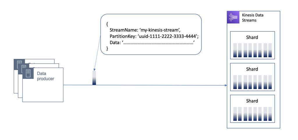 Kinesis Data Stream message