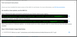 View container details popup with two commands