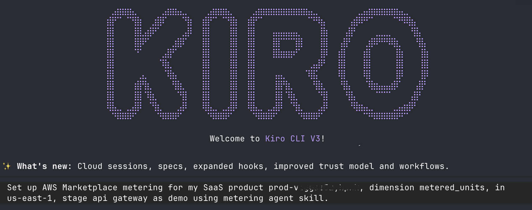 Kiro CLI with instructions to use AWS Marketplace metering skill