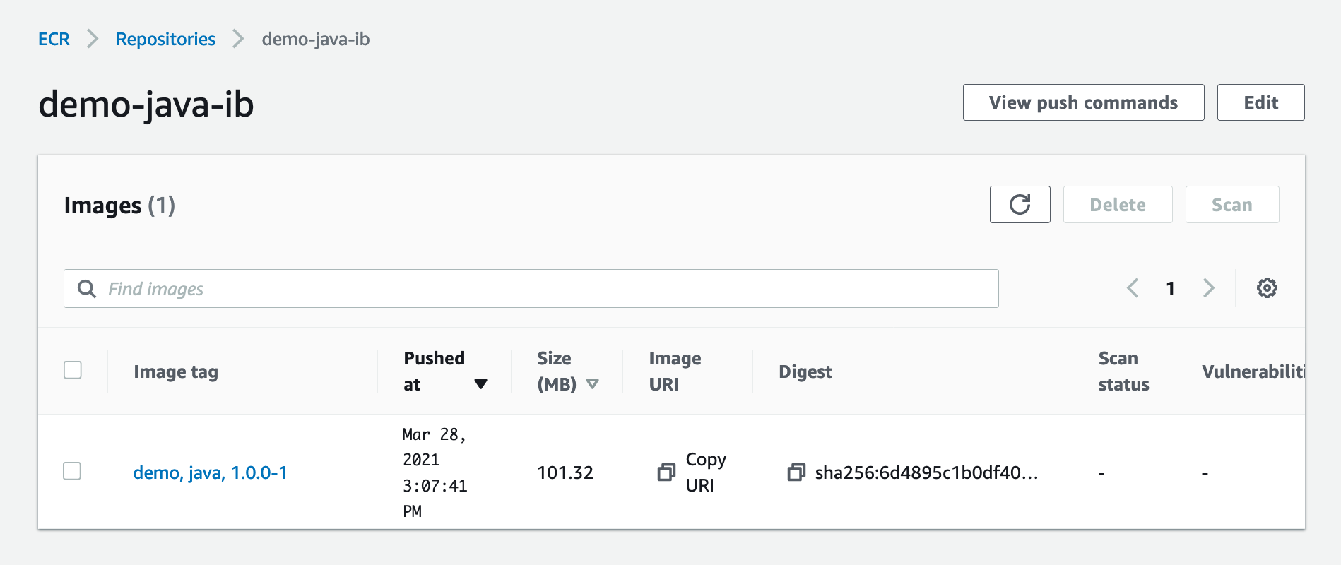 Shows demo-java-ib image in ECR