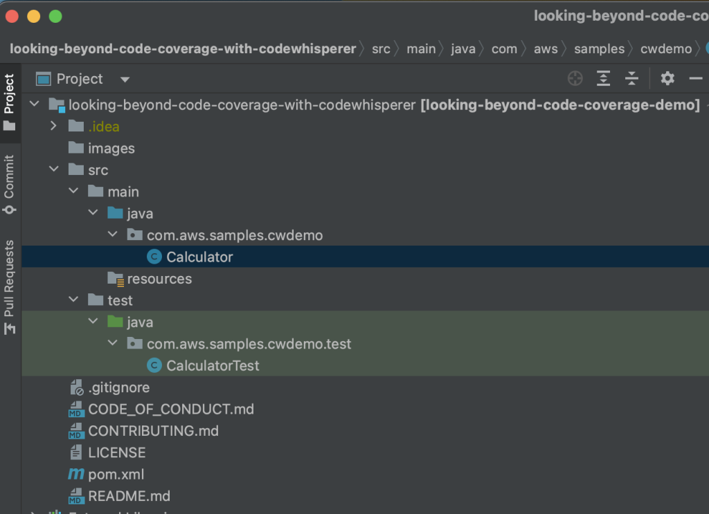 Figure1. initial Java project