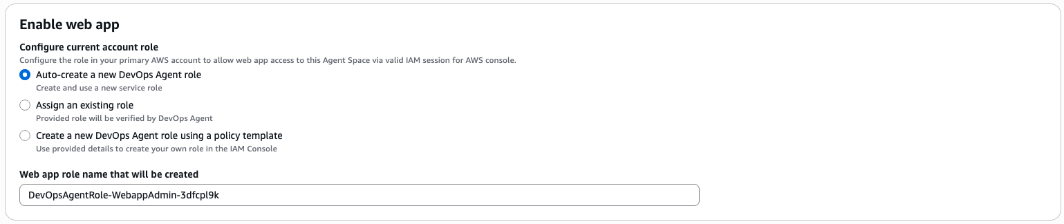 Detailed view of IAM role auto-creation options during Agent Space setup