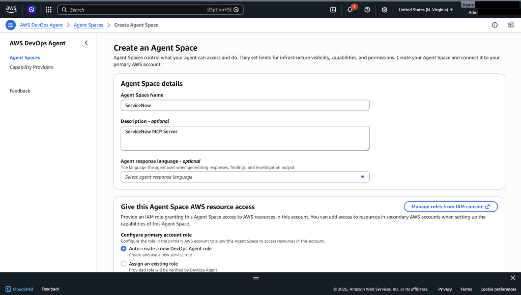 Agent Space name and IAM role configuration