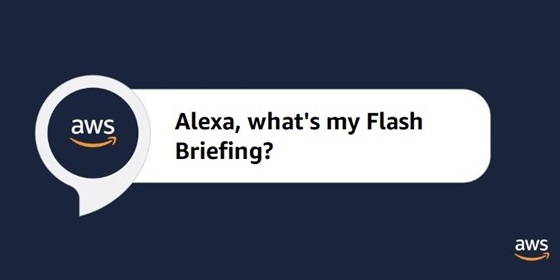 How to set up alexa hot sale flash briefing