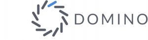 Domino Data Lab-logo-1