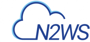 N2WS Logo-2.1